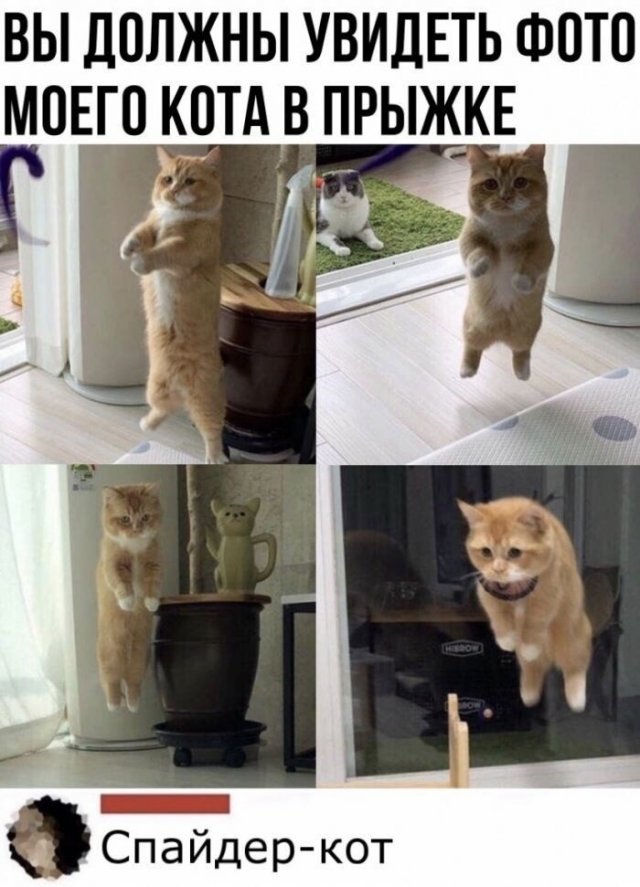 Смешные комментарии к постам в социальных сетях Смешные комментарии к постам в социальных сетях позитив,юмор