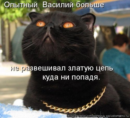 Лучшая котоматрица недели  смешные картинки