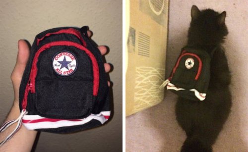 18 душераздирающих снимков о том, что ожидания не всегда совпадают с реальностью 