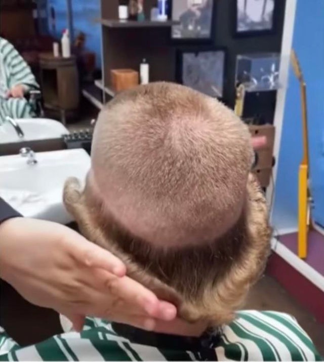 9гн 4