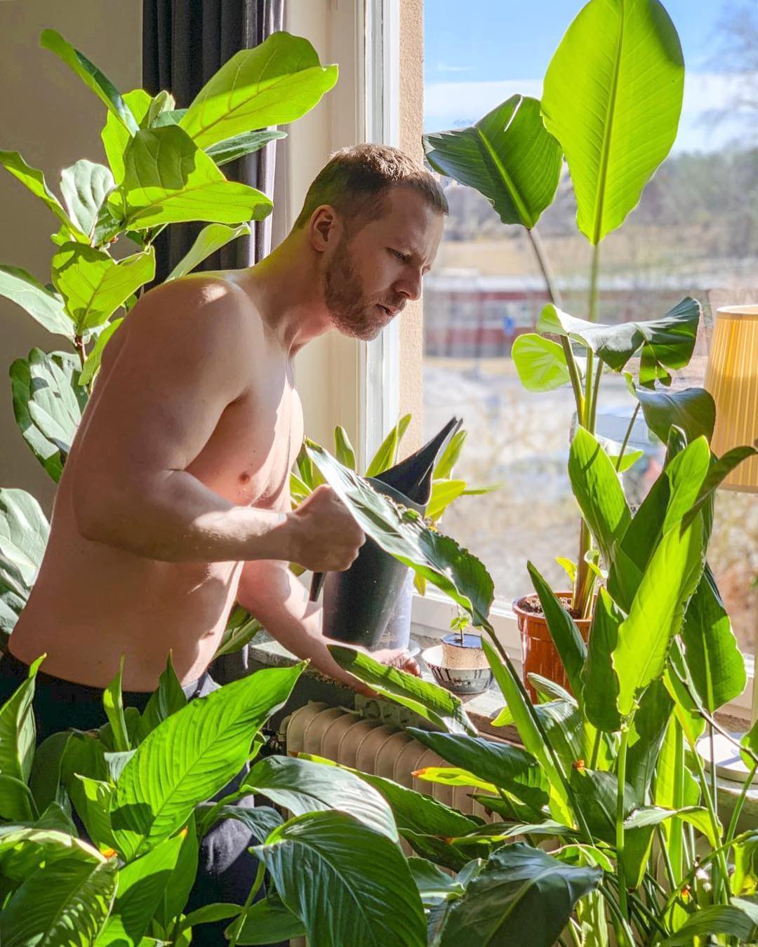 Популярный Instagram-аккаунт «Boys with Plants», где полуголые мужчины позируют с растениями 