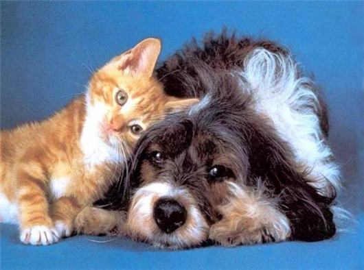 clip_image009