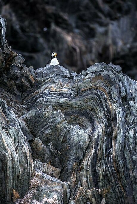 От Африки до арктической тундры России: финалисты фотоконкурса National Geographic Traveller 2019 От Африки до арктической тундры России: финалисты фотоконкурса National Geographic Traveller 2019