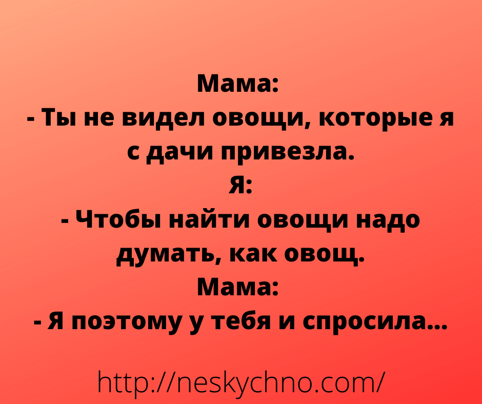 Анекдоты с просторов сети для вашего шикарного настроения Анекдоты с просторов сети для вашего шикарного настроения