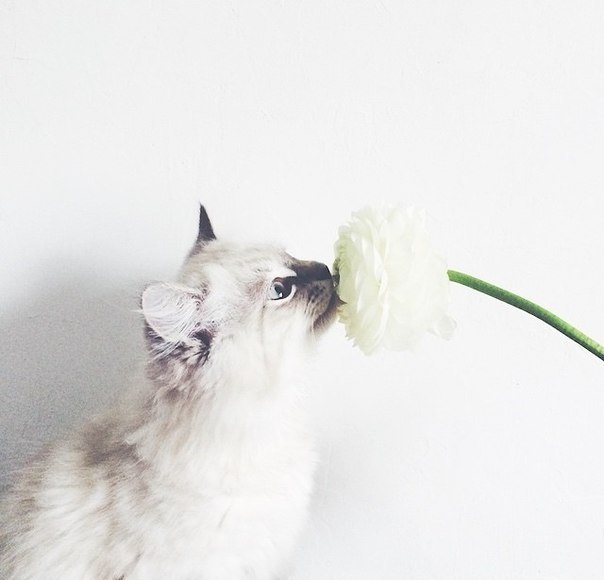 Классные и красивые фотографии из нашей жизни Классные и красивые фотографии из нашей жизни