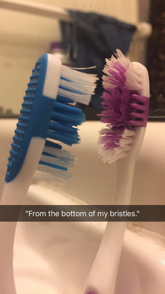 toothbrush-love-story-bristles-7