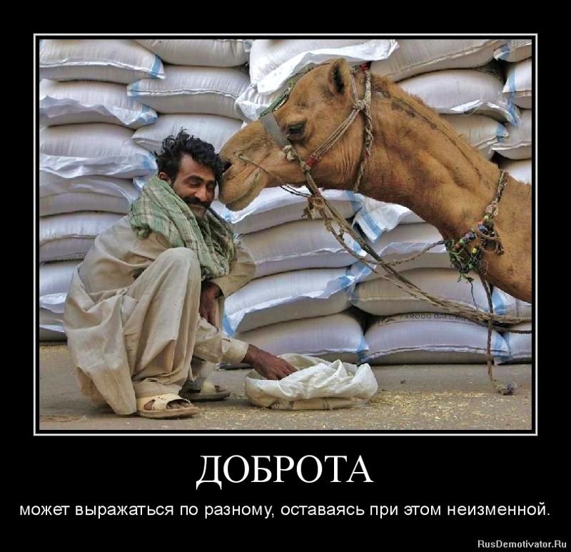 Забавные, веселые и смешные демотиваторы из нашей жизни демотиваторы свежие,смешные демотиваторы