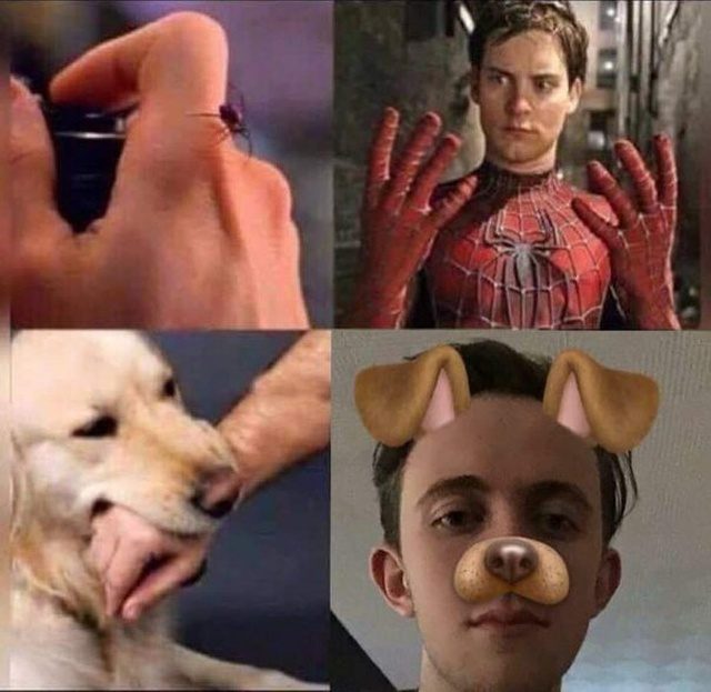 Социальный юмор Социальный юмор