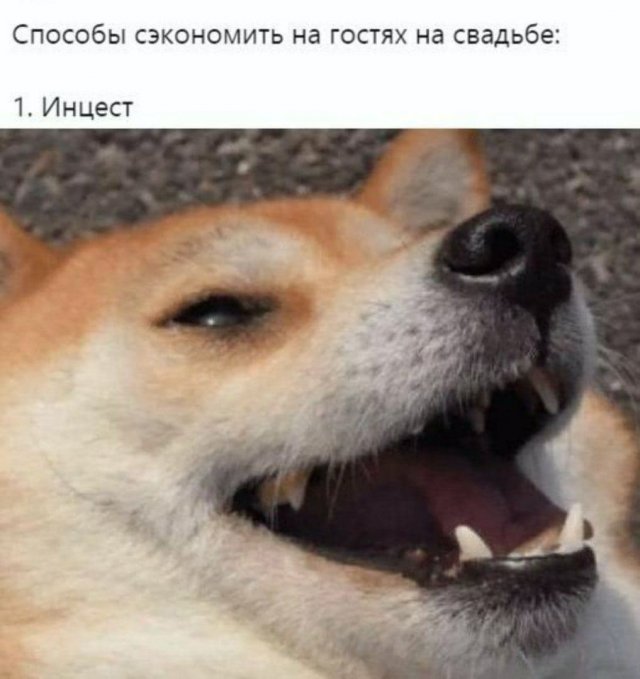 Подборка странного и черного юмора Подборка странного и черного юмора позитив,смешные картинки,юмор