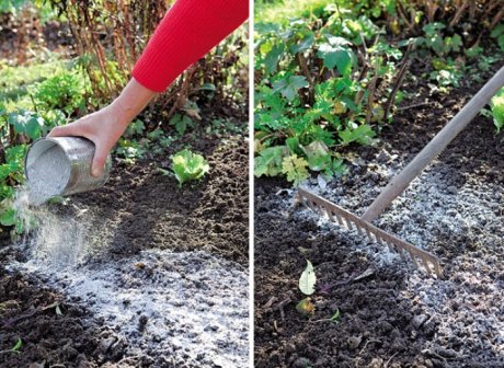 Как подготовить почву на даче для отличного урожая в следующем сезоне