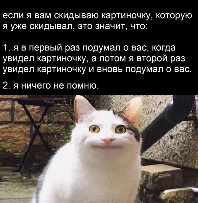 Анекдоты недели и Дональд с Илоном г,Санкт-Петербург [1414662]