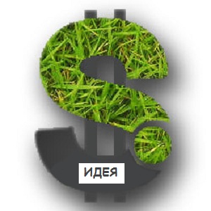 Идея для дополнительного заработка. 