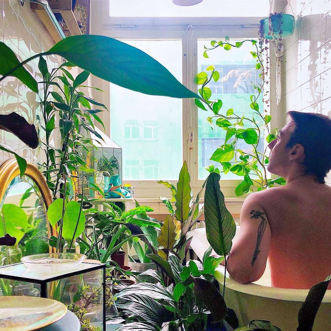 Популярный Instagram-аккаунт «Boys with Plants», где полуголые мужчины позируют с растениями 