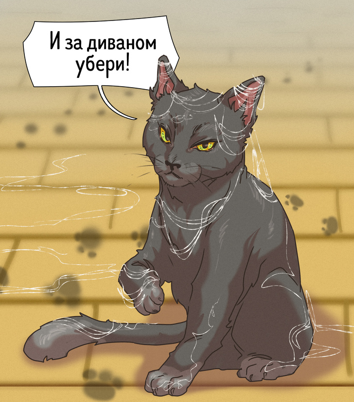 14 ситуаций, которых не избежать тем, кто твердо решил навести порядок дома девушки,интересное,позитив,юмор