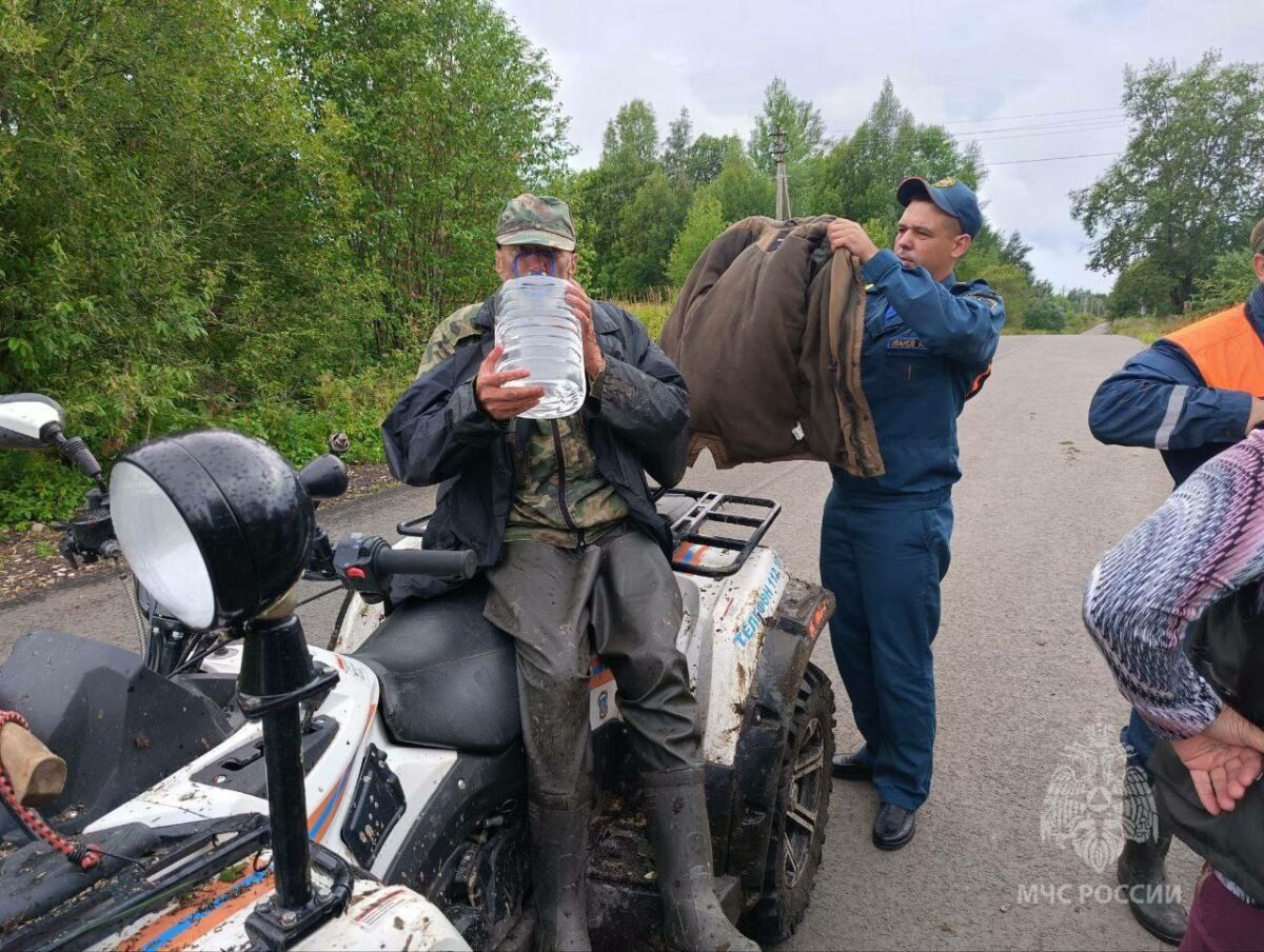 В Новгородской области пенсионер блуждал по лесу больше недели