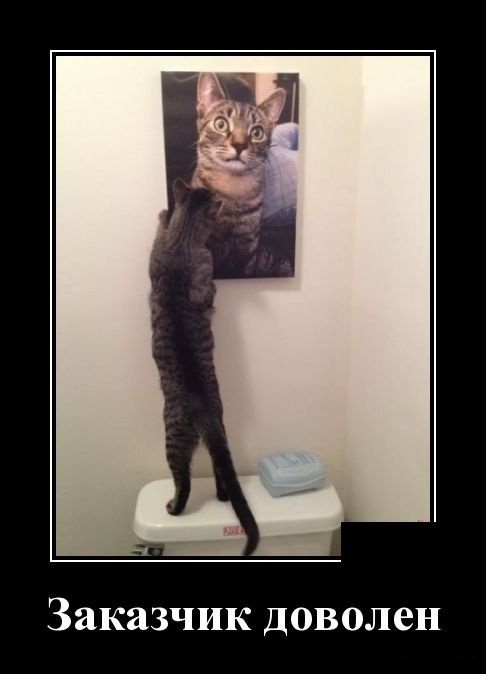 Забавные жизненные демотиваторы Забавные жизненные демотиваторы