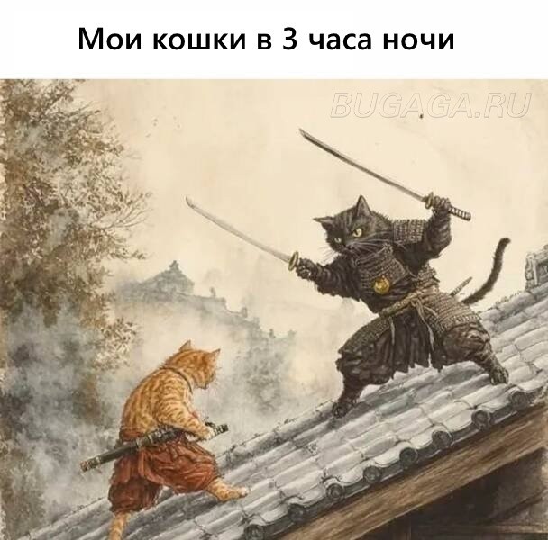 Прикольные КОТОмемы  