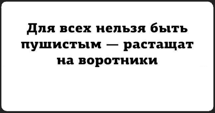 10 очень крутых открыток со странным юмором 