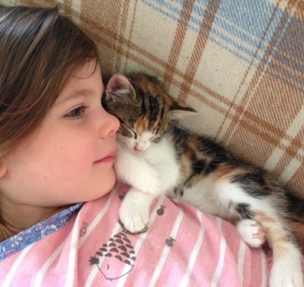 Одинокий котенок изо всех сил цеплялся за велосипедистов, чтобы те не уехали без него Одинокий котенок изо всех сил цеплялся за велосипедистов, чтобы те не уехали без него истории из жизни