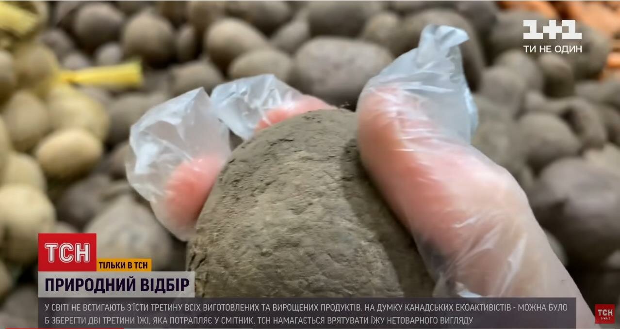 Лайфхак от ТСН украинцам: как сэкономить на еде украина