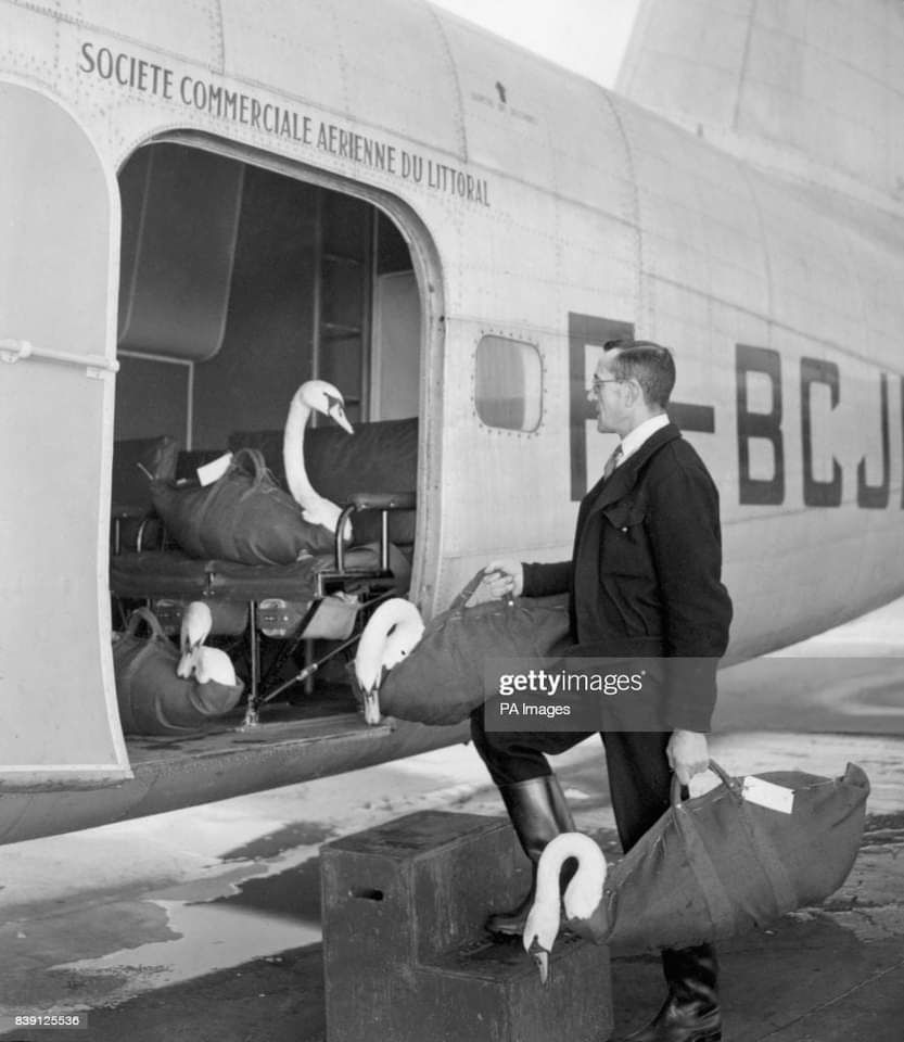 Юмор из интернета 622 позитив,смех,смехотерапия,улыбки,юмор