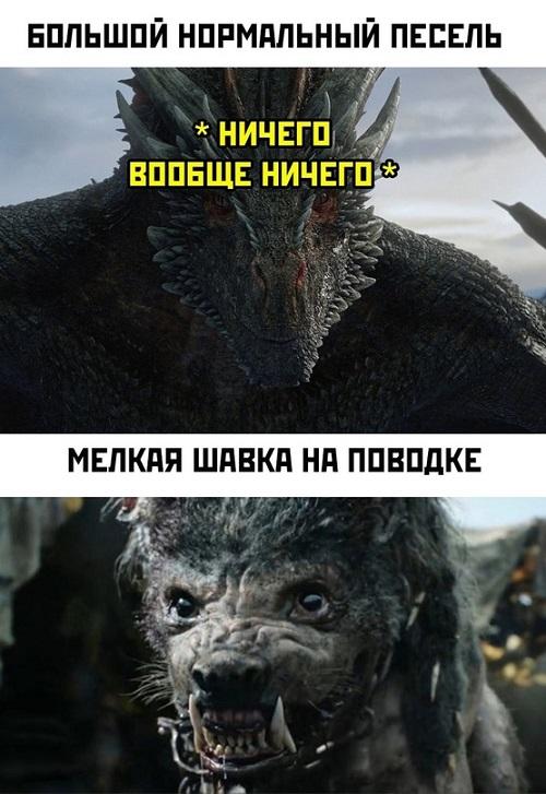 Супер клевые картинки Супер клевые картинки