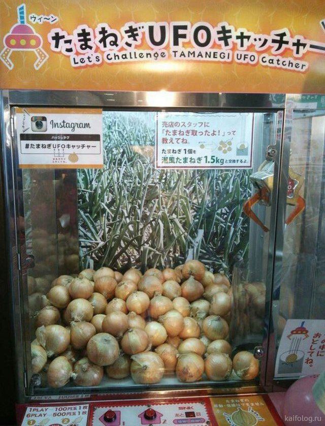 Приколы про лук Приколы про лук