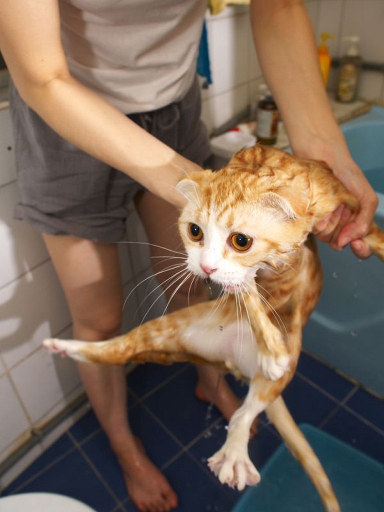 Влажные киски Влажные киски