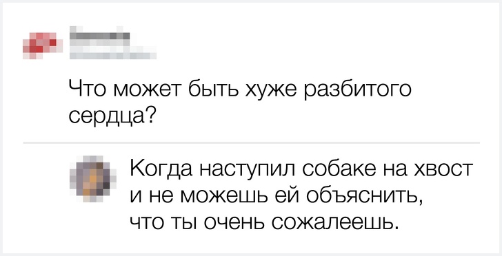 20 остроумных комментариев от тех, кто за словом в карман не лезет 