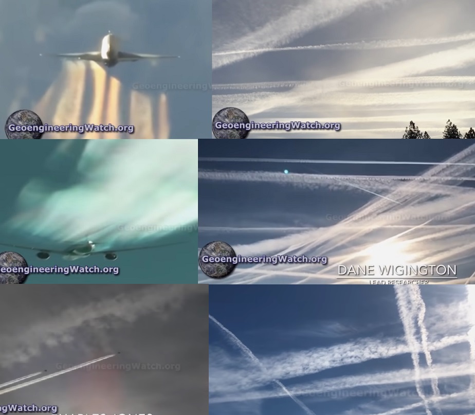 Если не решить эту проблему ПРЯМО СЕЙЧАС, то все остальные проблемы человечества окажутся ничтожными. ПЛАНЕТА БОЛЬШЕ НЕ СМОЖЕТ ОБЕСПЕЧИВАТЬ НАШУ ЖИЗНЬ ﻿