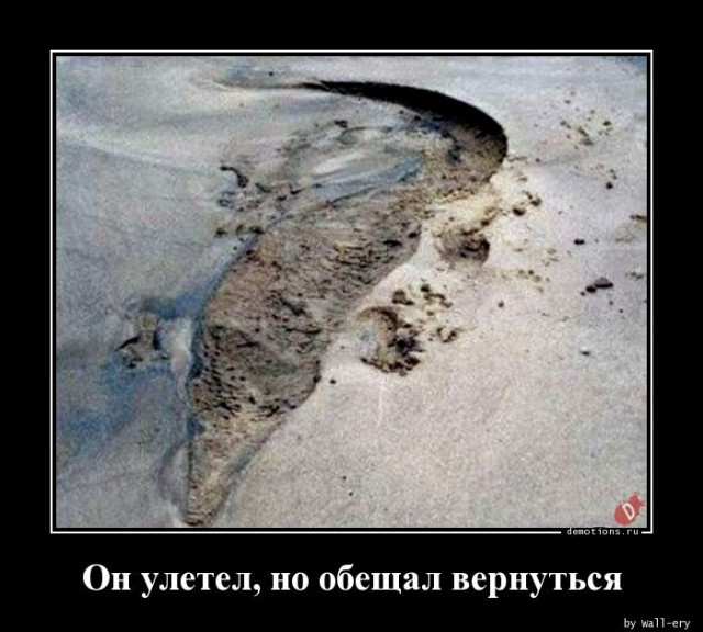 Демотиваторы дня: «Когда проснулся, тогда и завтрак» город Псков г,о,[95247259],г,Псков [1061631],Псковская обл,[1061373]