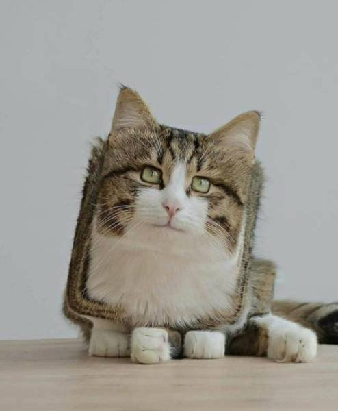 Креативный фотошоп для вас Креативный фотошоп для вас