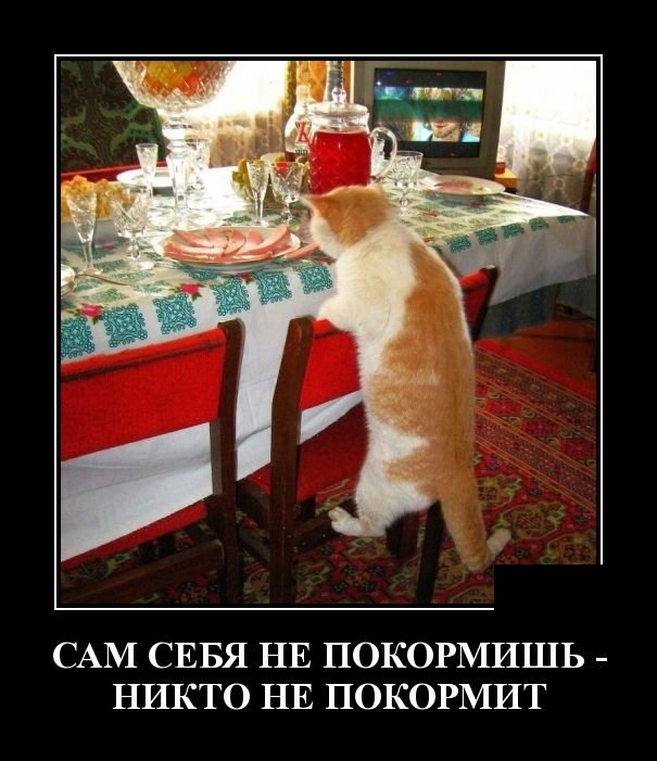 Демотиваторы (30 фото)