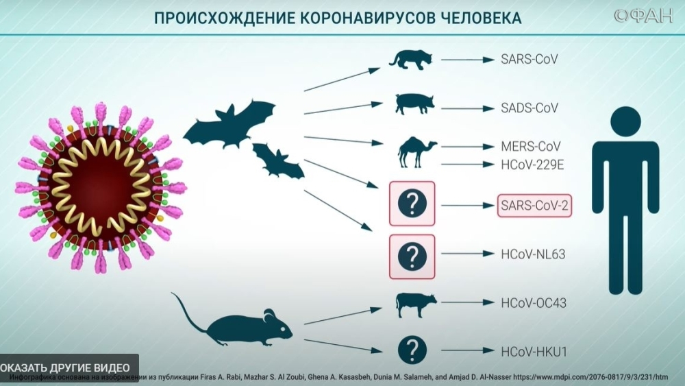 Новосибирский вирусолог объяснил спад заболеваемости коронавирусом 