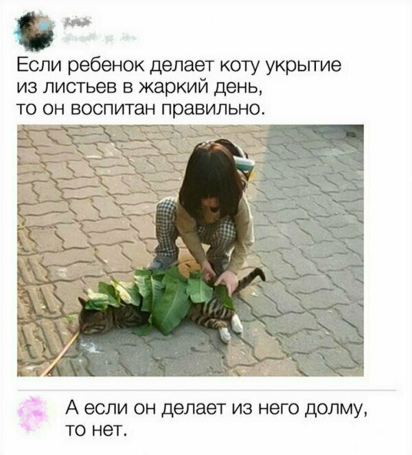 Весёлые комментарии из соцсетей!
