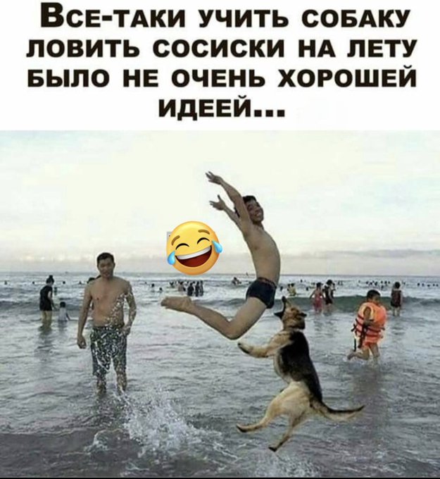 За 11 лет учебы в школе я не узнал ничего об ипотеке, уплате счетов и налогов.  Зато я знаю строение инфузории туфельки