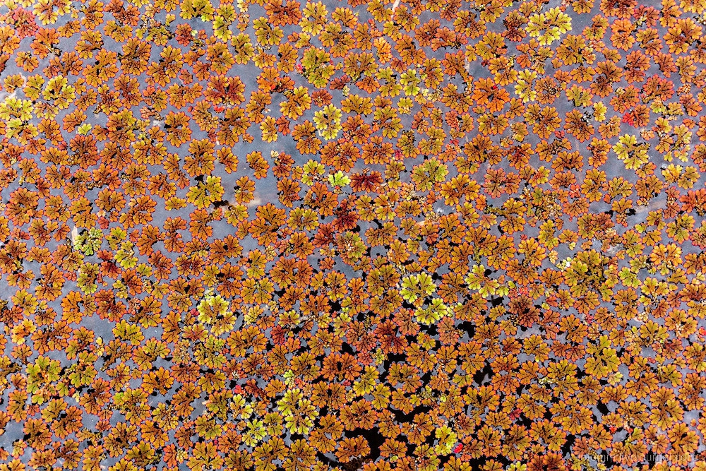 Все краски Филиппин на ярких фотографиях Все краски Филиппин на ярких фотографиях