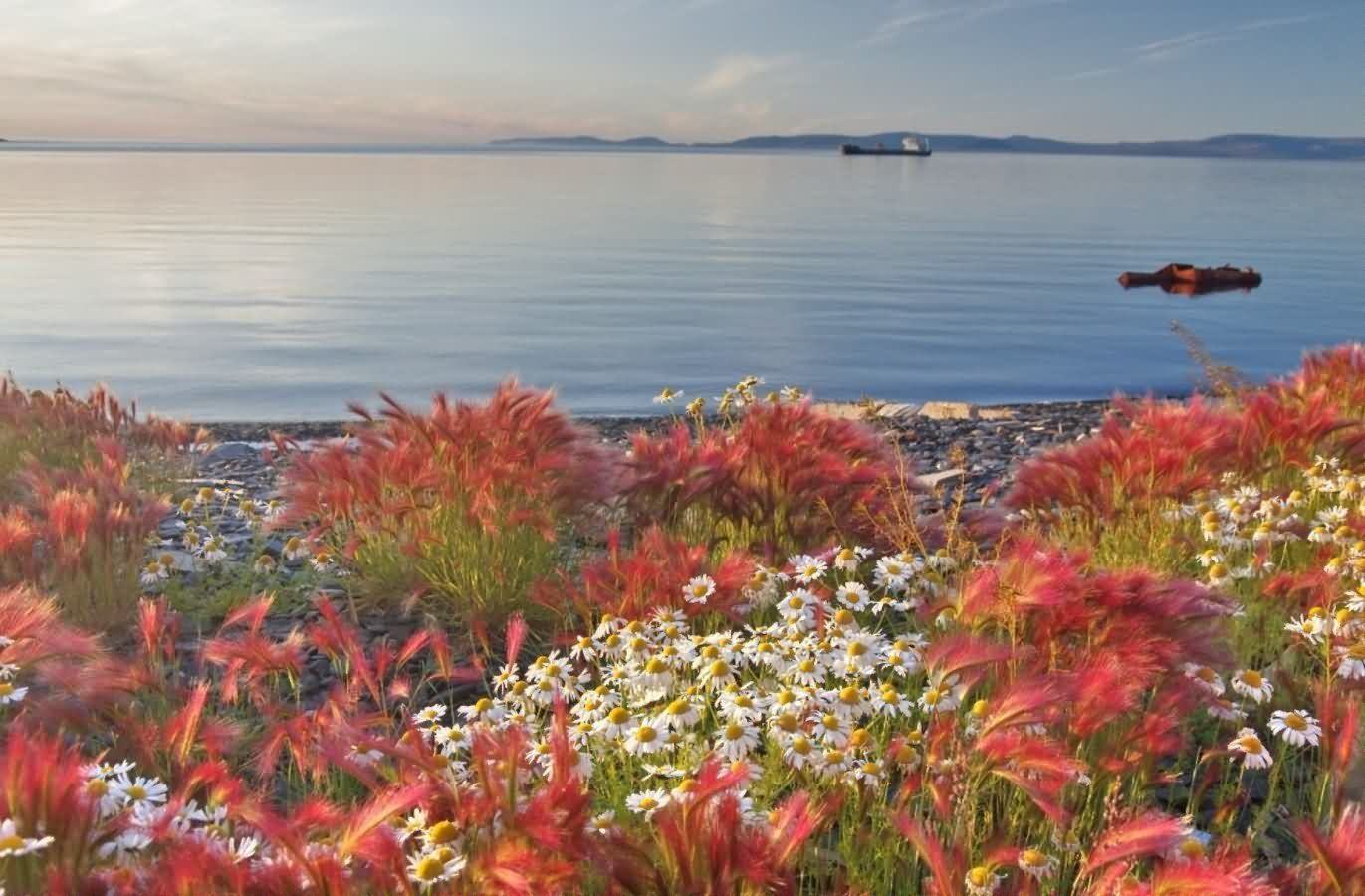 Screenshot_2025_09_06-24