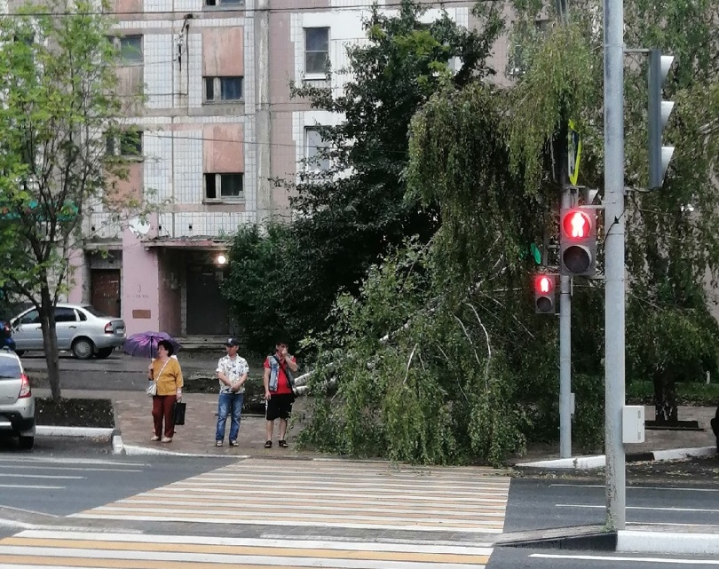 Новоселова12 Разянь. Новосёлов 12. Фото дома Новоселов 12 Рязань.