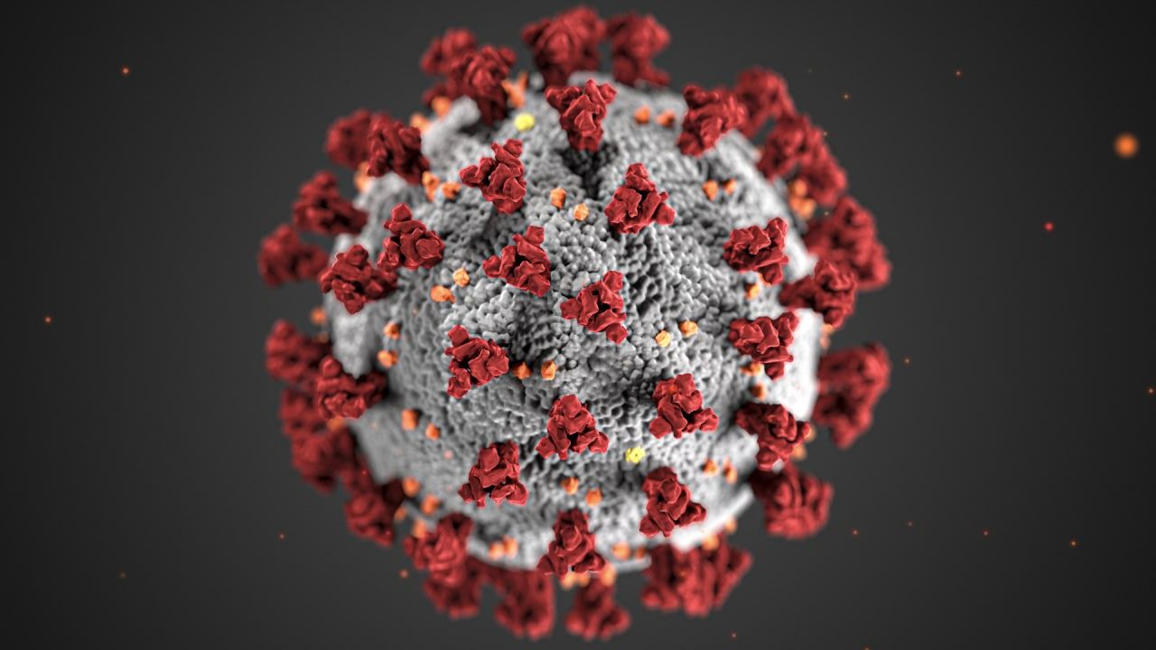Эпидемиологическое положение России: Короновирус, ОРВИ и Свиной грипп