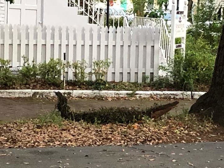 15 доказательств того, что в мире есть еще вещи, которых мы не видели 15 доказательств того, что в мире есть еще вещи, которых мы не видели