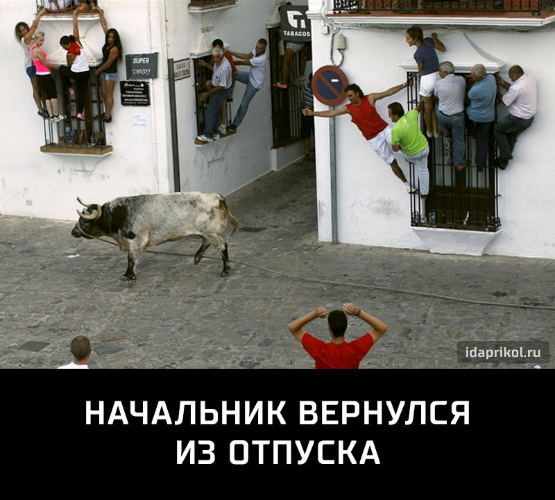 Забавные, веселые и смешные демотиваторы из нашей жизни демотиваторы свежие,смешные демотиваторы