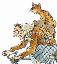 Куда едут бабки?