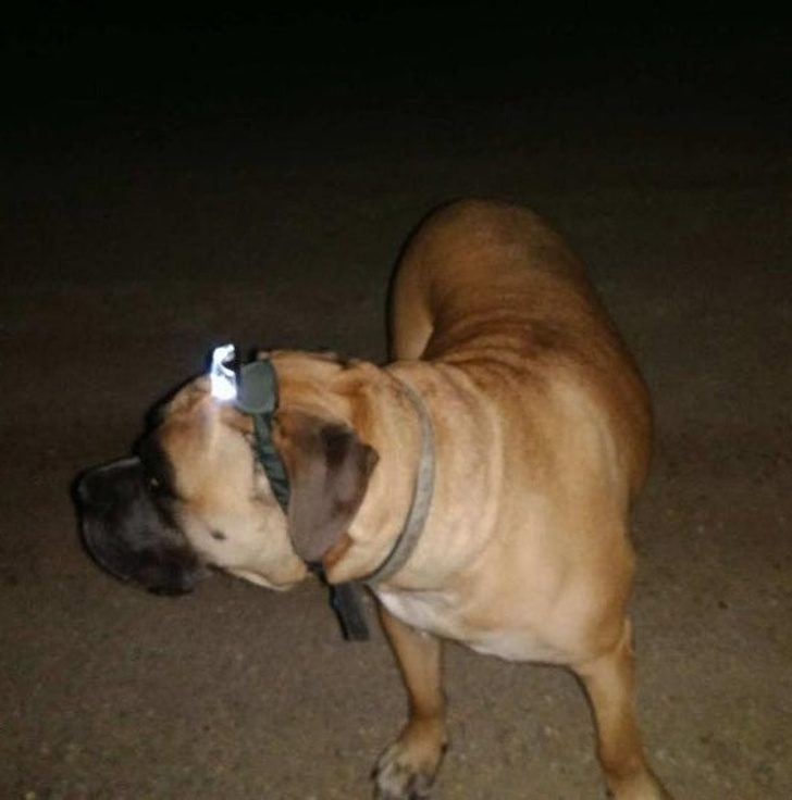 Вижу проблему - решаю проблему! Вижу проблему - решаю проблему! курьезы,юмор