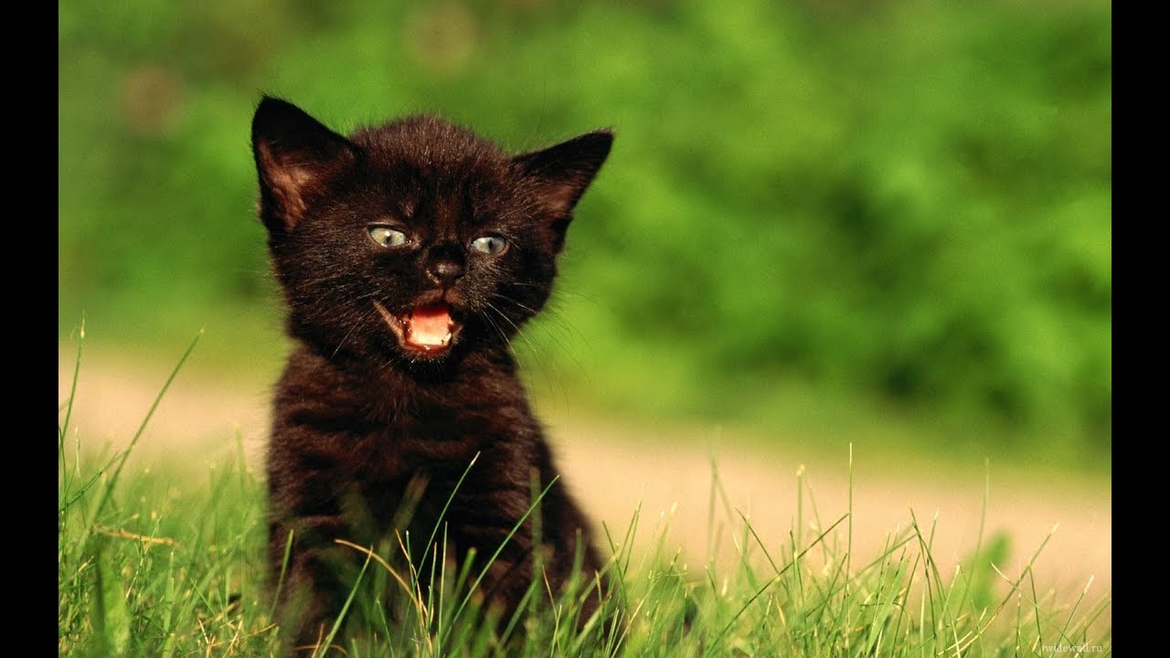 Давно это было