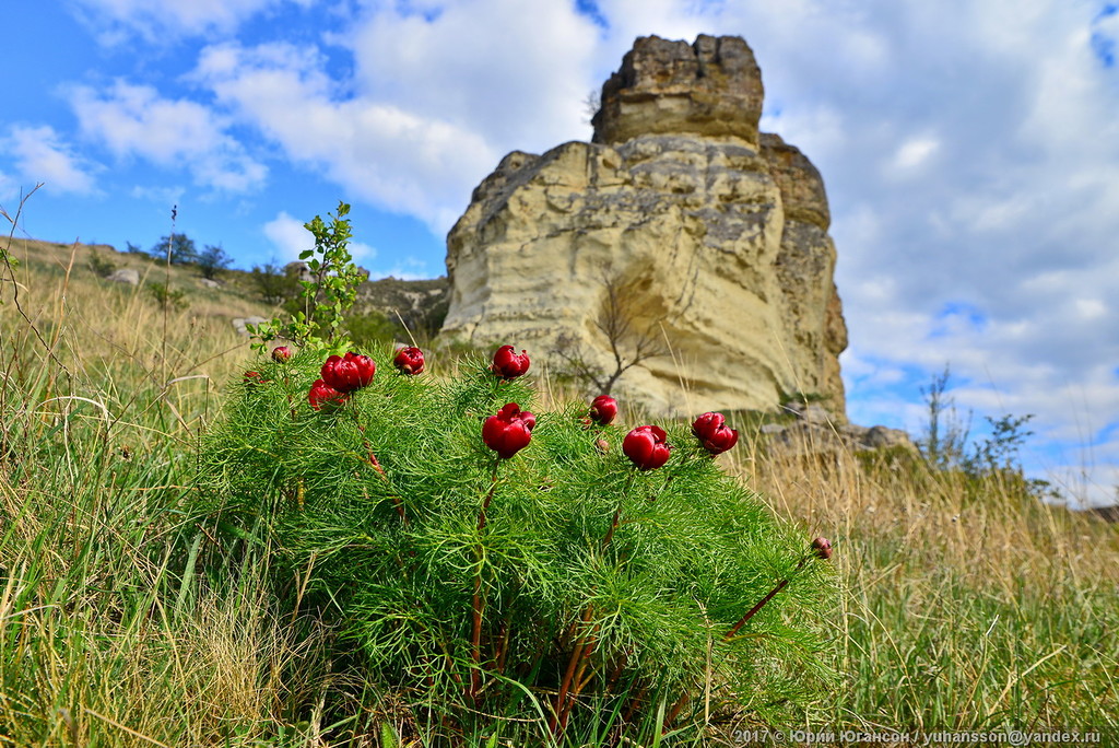 Село богатое крым фото