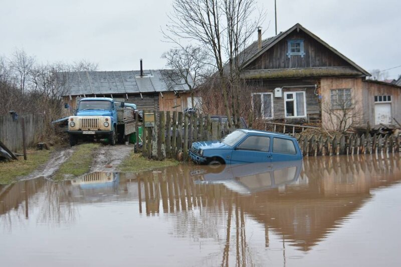 20 эпичных ситуаций из сельской жизни 