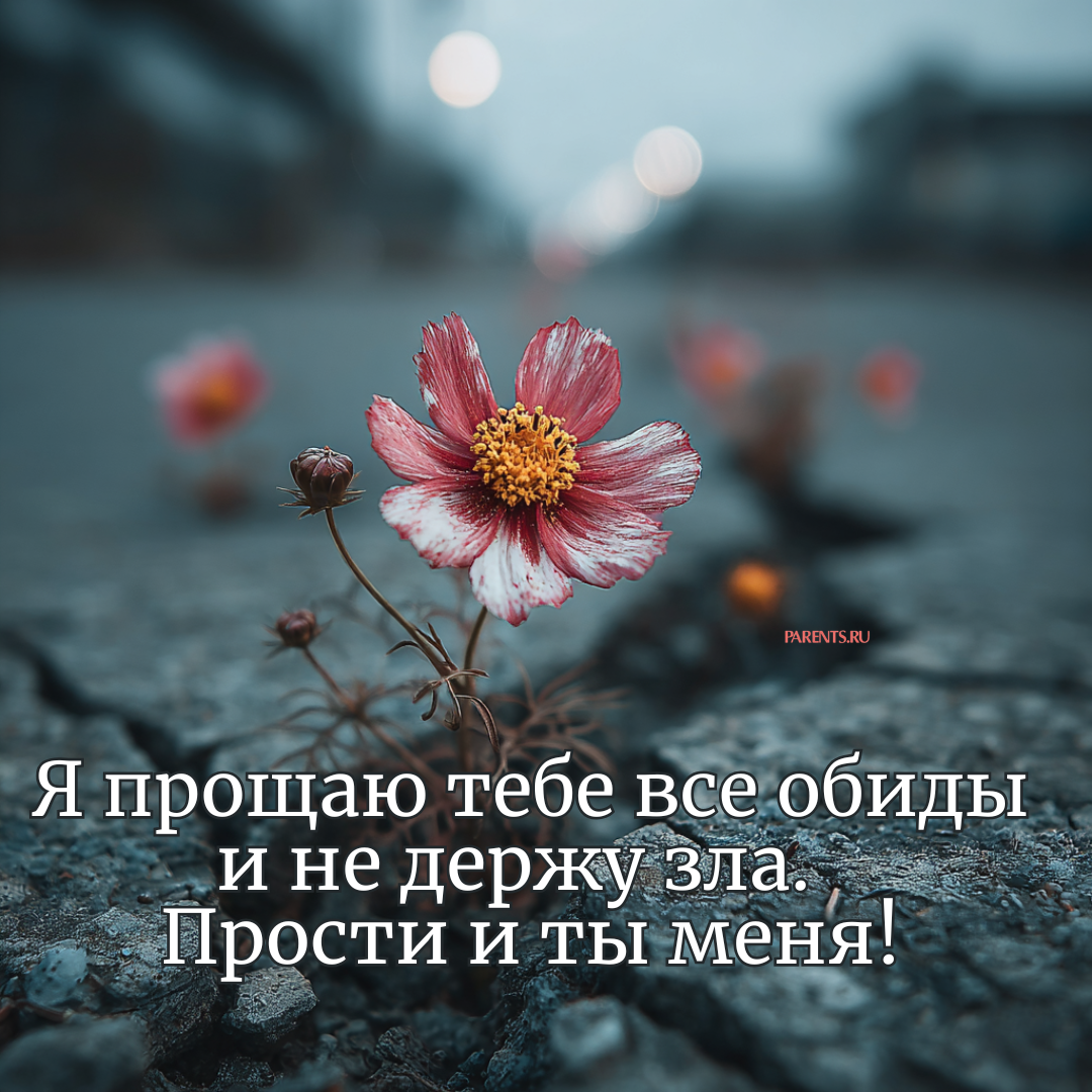 «Бог простит, и я прощаю»: 25 открыток, которые можно отправить на Прощеное воскресенье-2026 в ответ на извинения «Бог простит, и я прощаю»: 25 открыток, которые можно отправить на Прощеное воскресенье-2026 в ответ на извинения format-article,noindex,Стиль жизни
