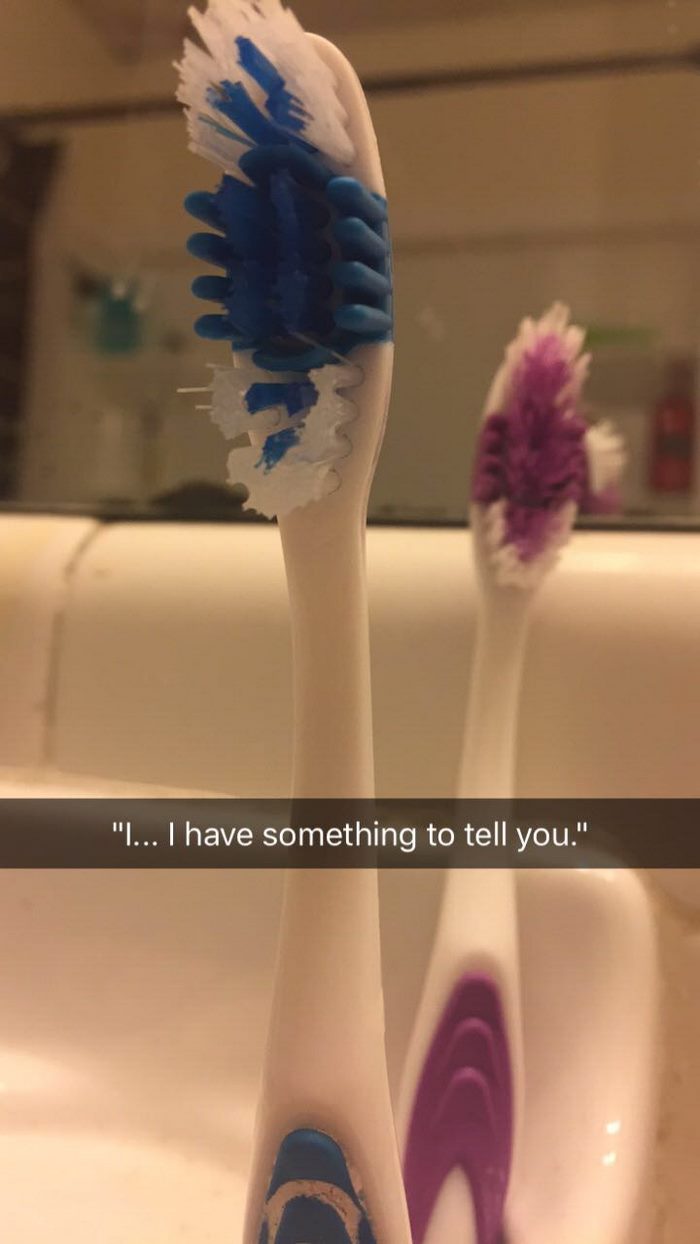 toothbrush-love-story-bristles-1
