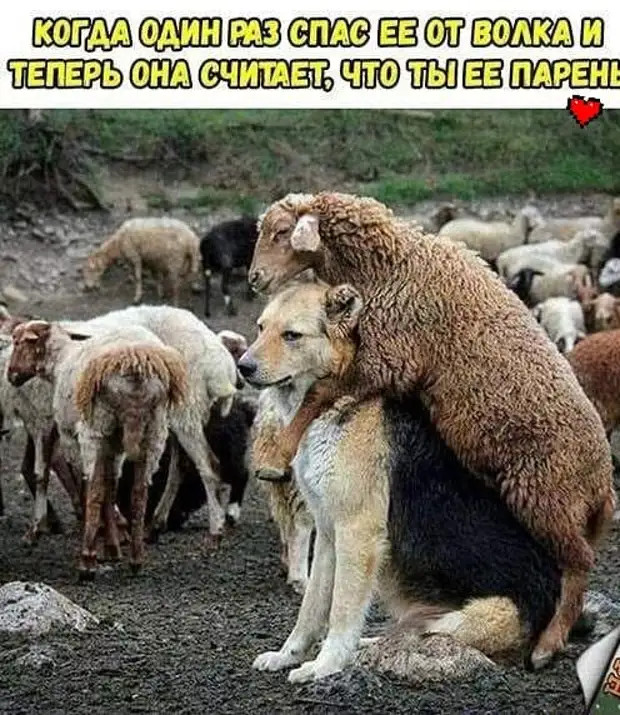 дурная баба ты ирина сказал ирине николай а мог бы жить еще лет сорок кто ж за язык его тянул дурная баба ты ирина сказал ирине николай а мог бы жить еще лет сорок кто ж за язык его тянул спрашивает, выходит, ребенок, самогона, подходит, второй, очень, мистер, Акушер, виски, хочешь, Ламборгини, тачка, высовывается, говорит, мужик, обращается, возраст, после, большой